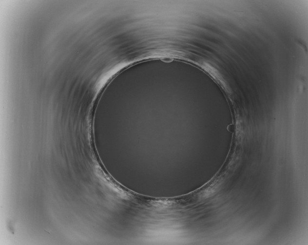 X0000102230854200808011224