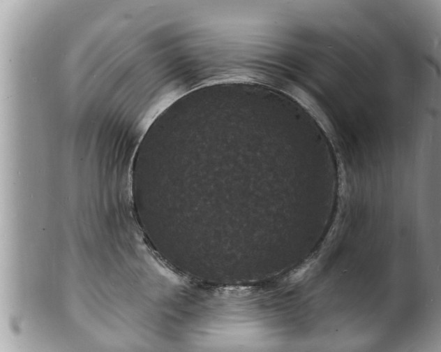 X0000102230858200808011224
