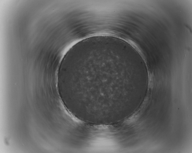 X0000102230862200808011224