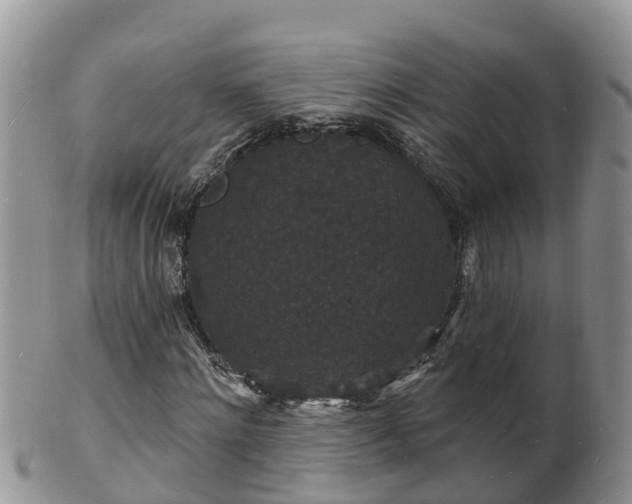X0000102230868200808011223
