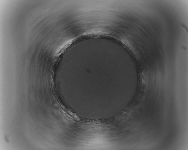 X0000102230872200808011223