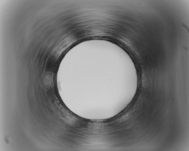 X0000102230873200808011223