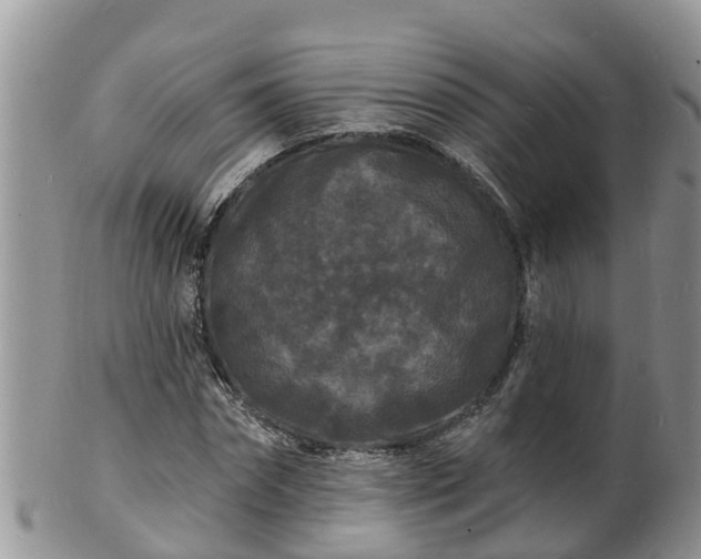 X0000102230874200808011223