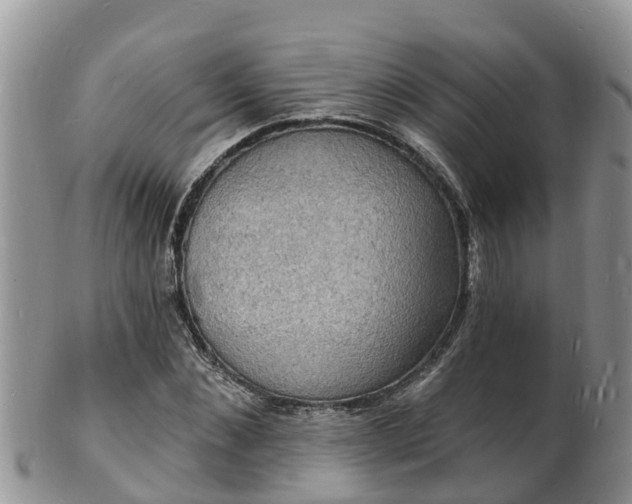 X0000102230876200808011223