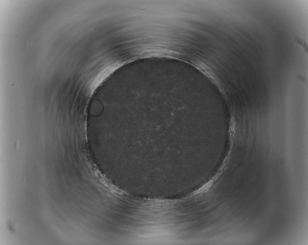 X0000102230877200808011223