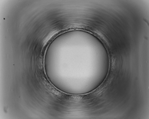 X0000102230878200808011223