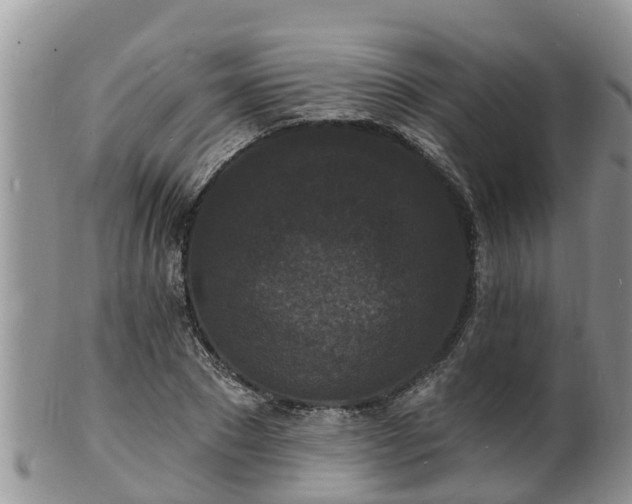 X0000102230881200808011223