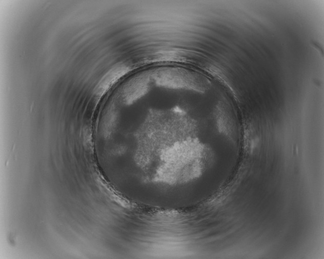 X0000102230882200808011223