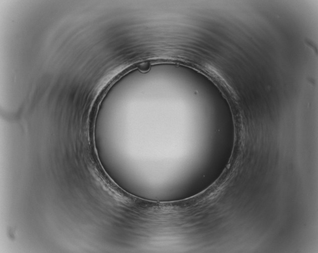 X0000102230884200808011223
