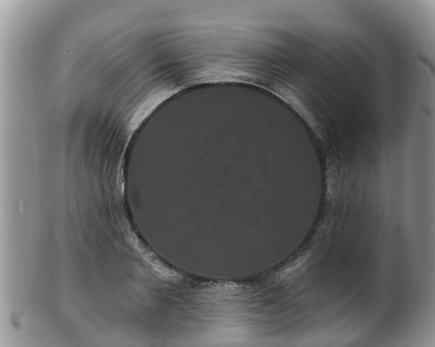 X0000102230885200808011223