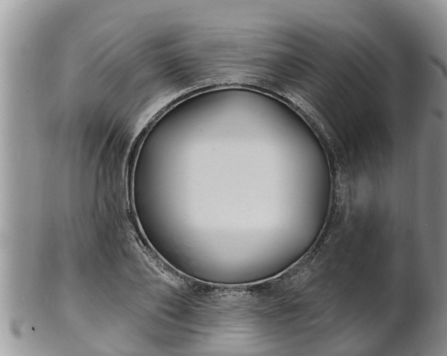 X0000102230886200808011223