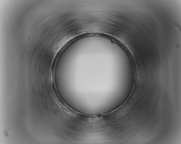 X0000102230887200808011223
