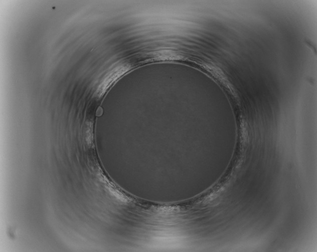 X0000102230889200808011223