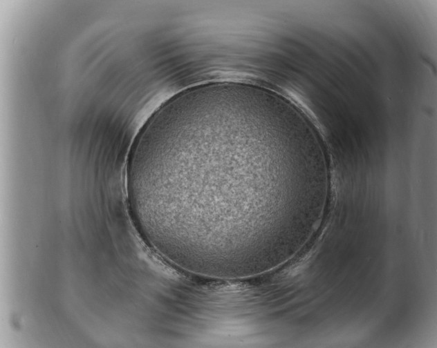 X0000102230891200808011223