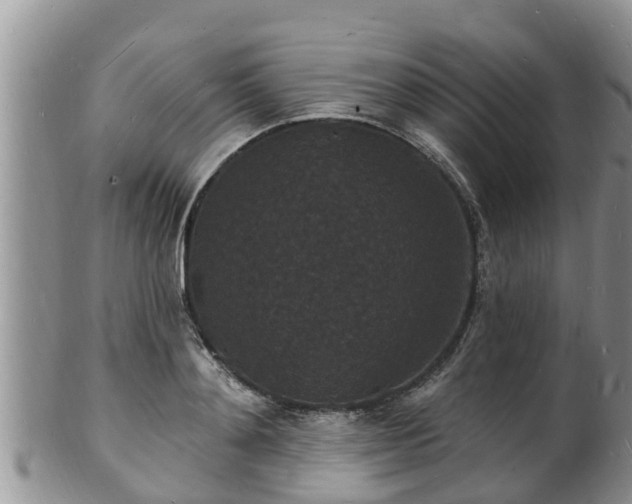 X0000102230892200808011223