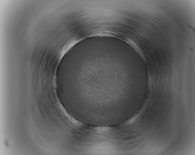 X0000102230893200808011223