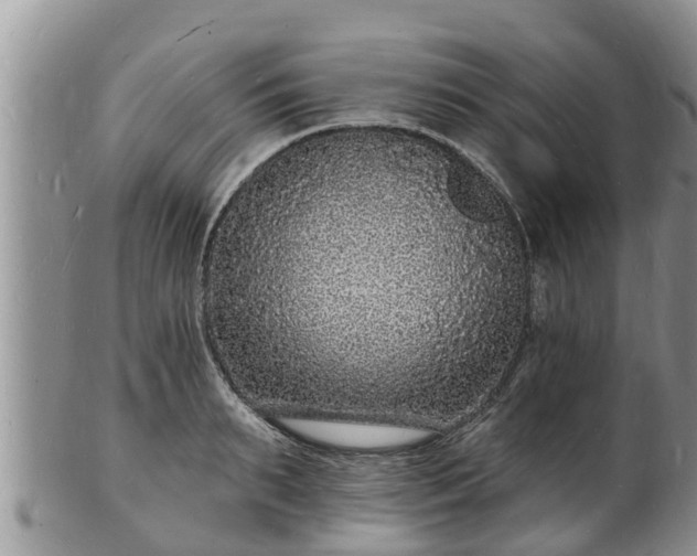 X0000102230895200808011223