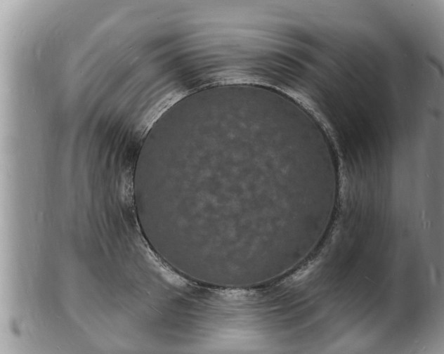 X0000102230897200808011223