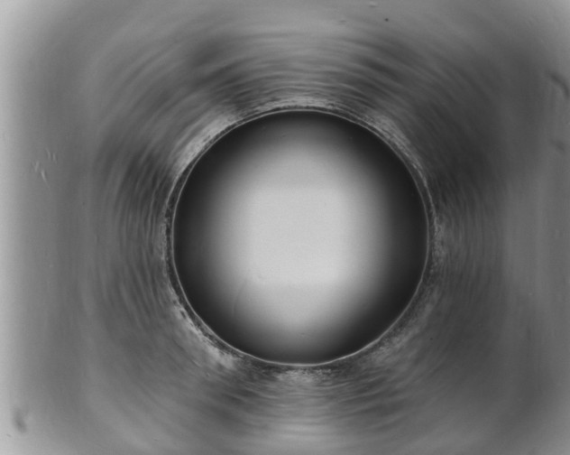 X0000102230898200808011223