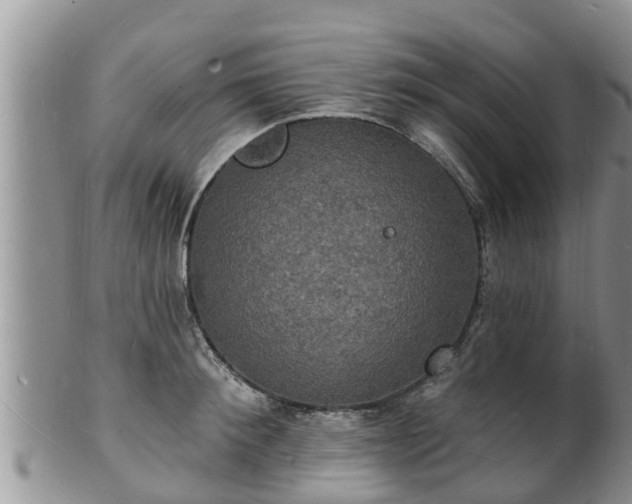X0000102230900200808011223