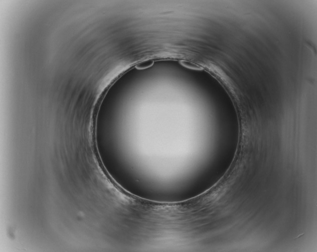 X0000102230902200808011223