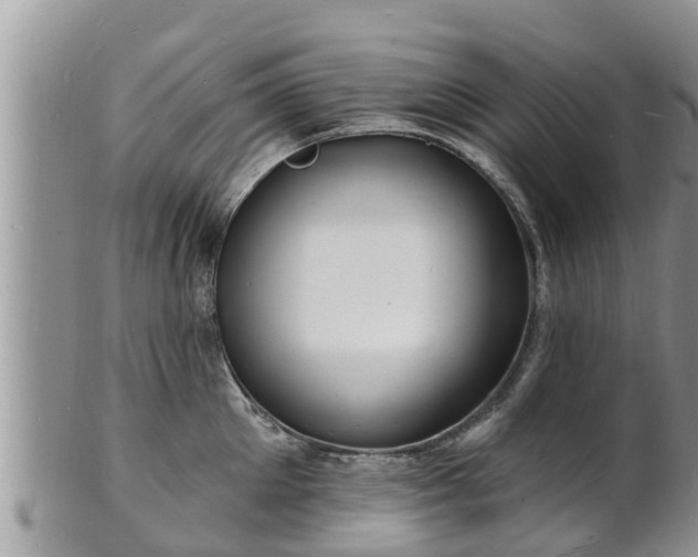 X0000102230905200808011223