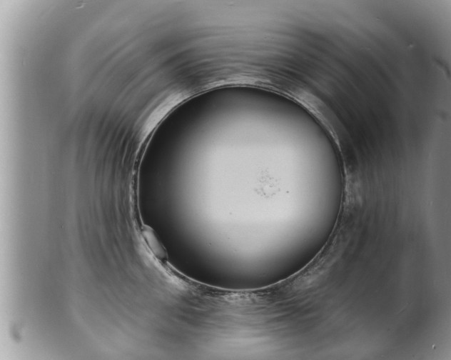 X0000102230906200808011223