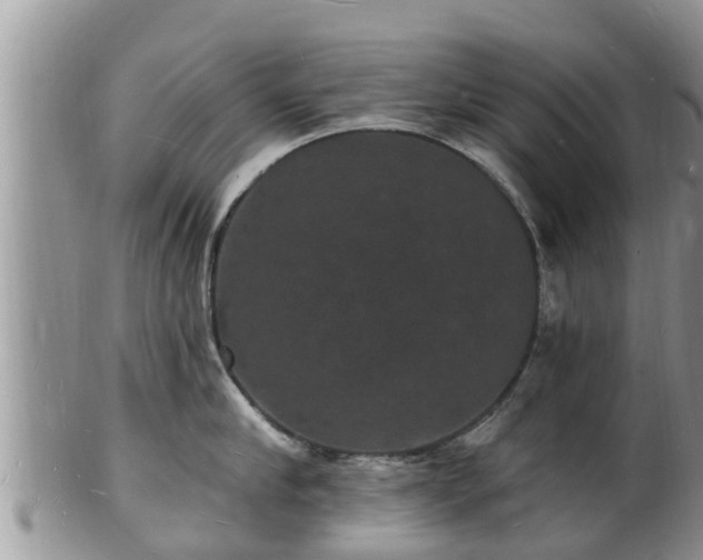 X0000102230910200808011223
