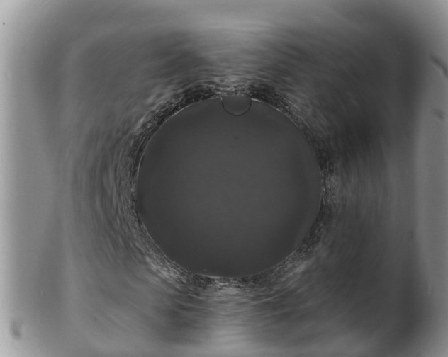 X0000102230913200808011222