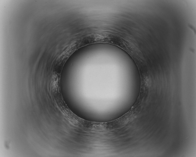 X0000102230914200808011222