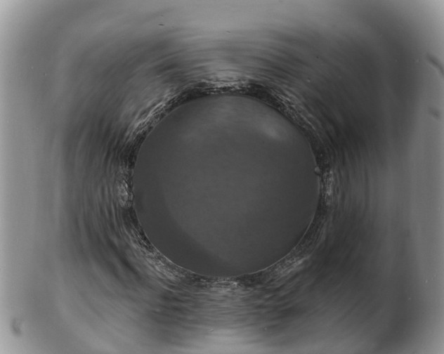 X0000102230916200808011222