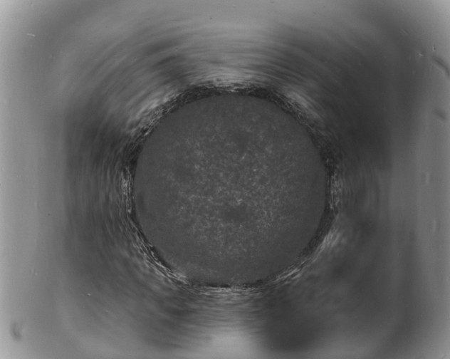 X0000102230917200808011222