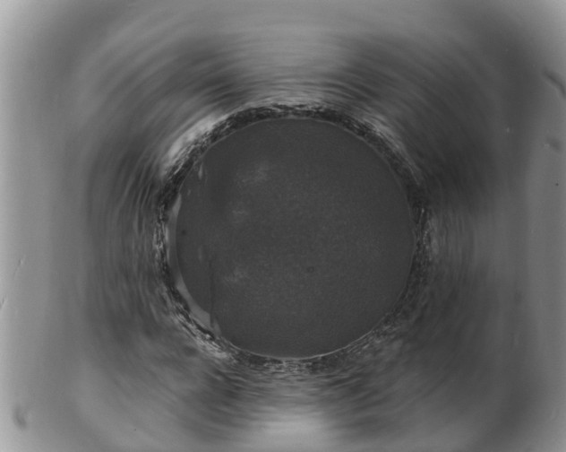 X0000102230920200808011222