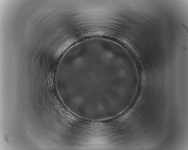 X0000102230921200808011222