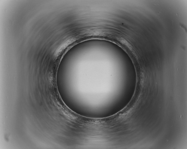 X0000102230922200808011222