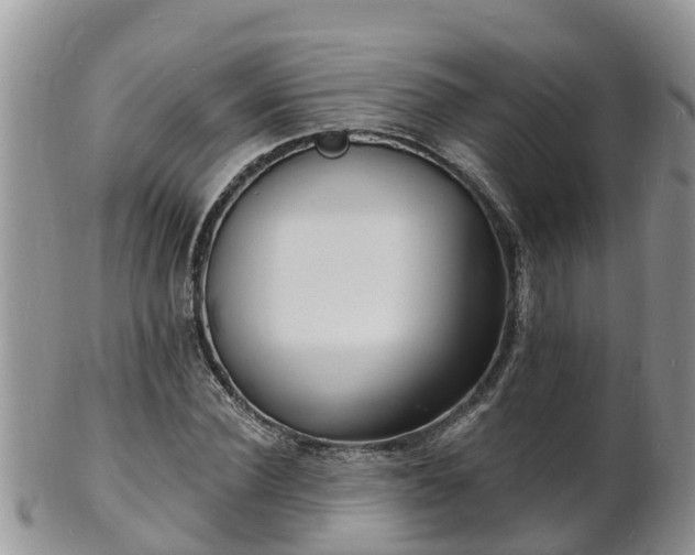 X0000102230924200808011222