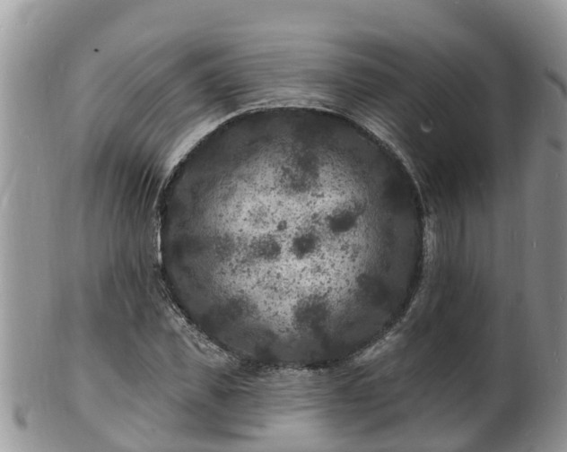 X0000102230925200808011222