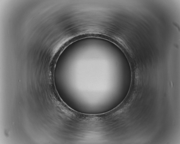 X0000102230926200808011222
