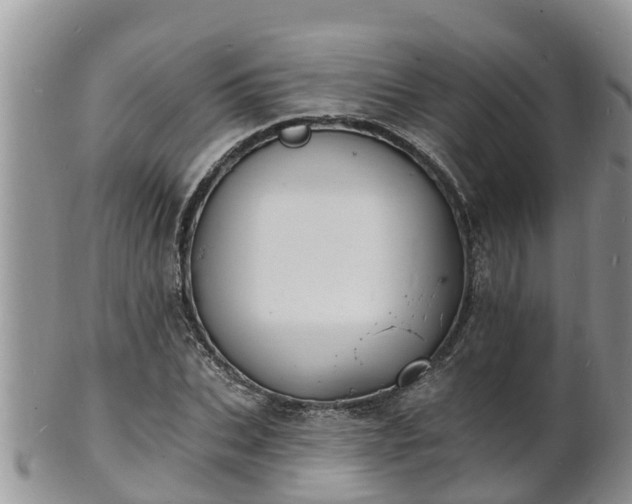 X0000102230927200808011222