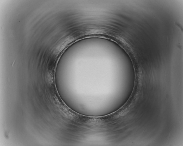 X0000102230929200808011222