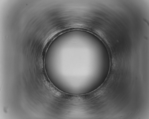 X0000102230931200808011222