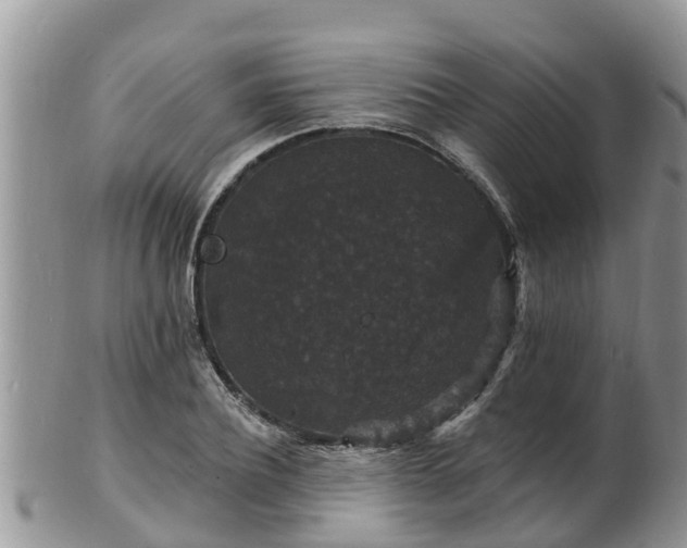 X0000102230932200808011222