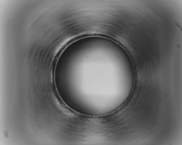 X0000102230934200808011222