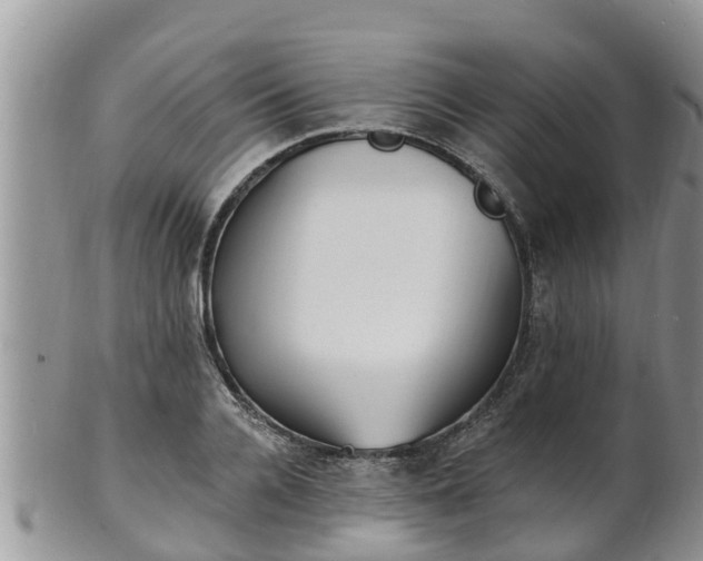 X0000102230936200808011222