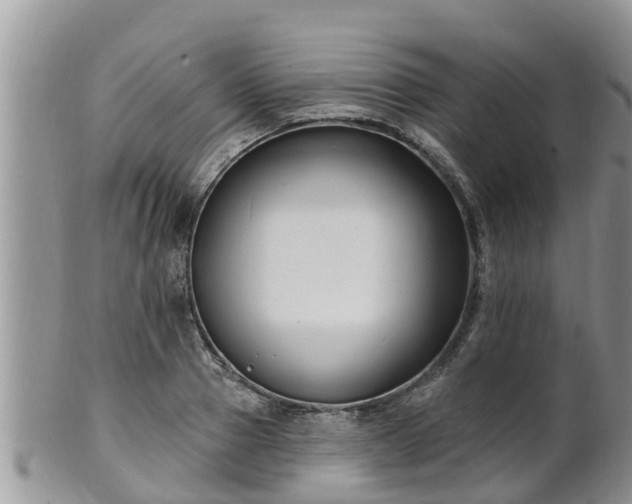 X0000102230937200808011222