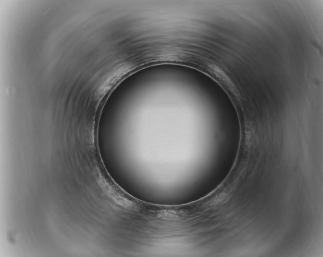 X0000102230938200808011222