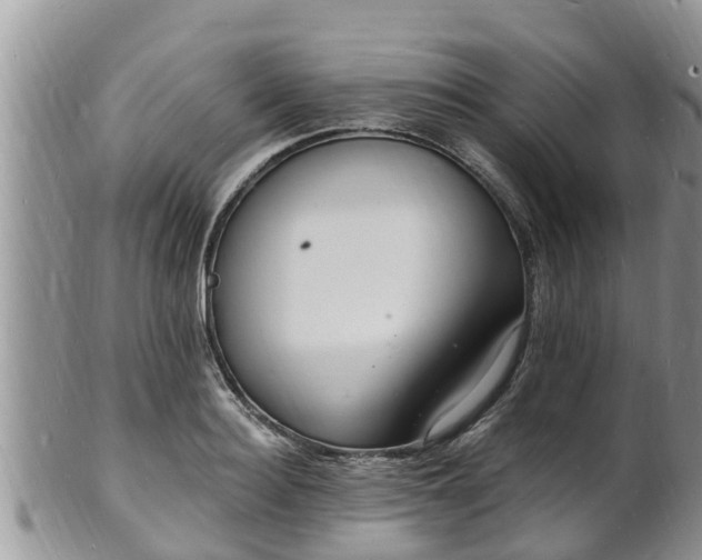 X0000102230940200808011222