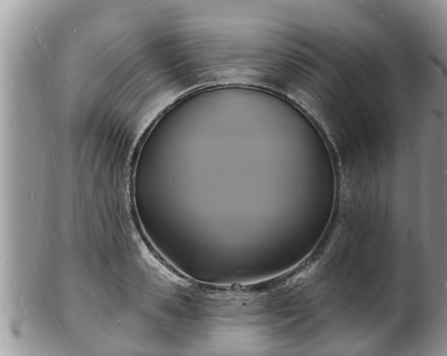 X0000102230941200808011222