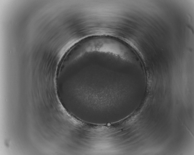 X0000102230943200808011222