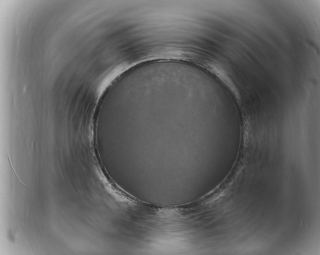 X0000102230944200808011222